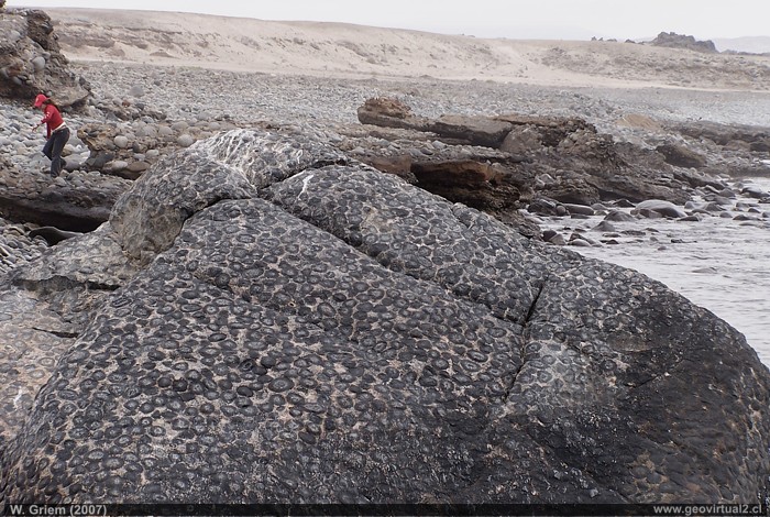 Region de Atacama: Granito Orbicular