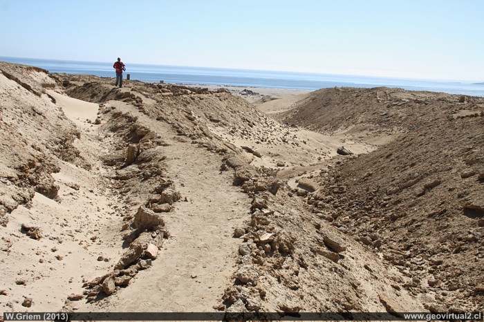 Parque Paleontologico de Caldera - Region de Atacama, Chile