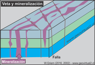 Vetas paralelas