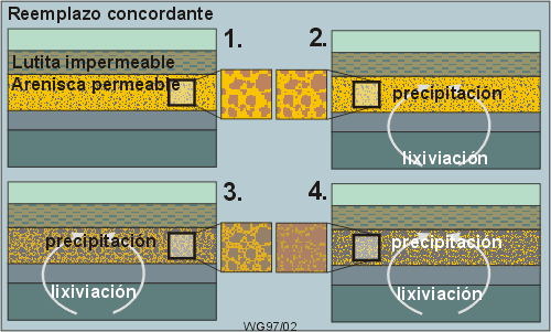 Reemplazo concordante