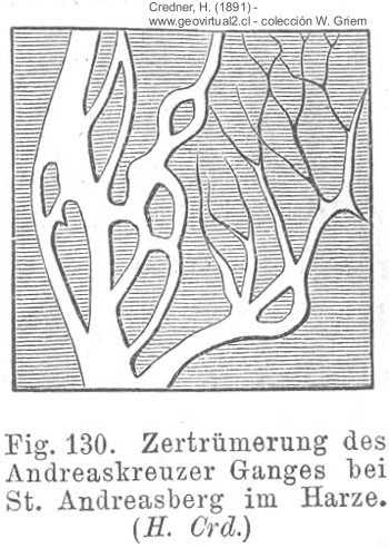 Veta partida - Credner, 1891