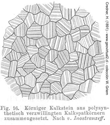 Caliza de Credner, 1891