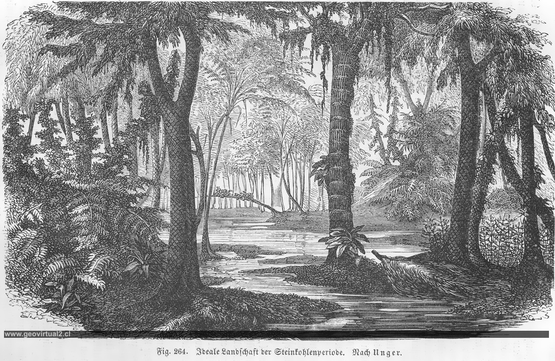 Paisaje del carbonífero según Ludwig - Unger