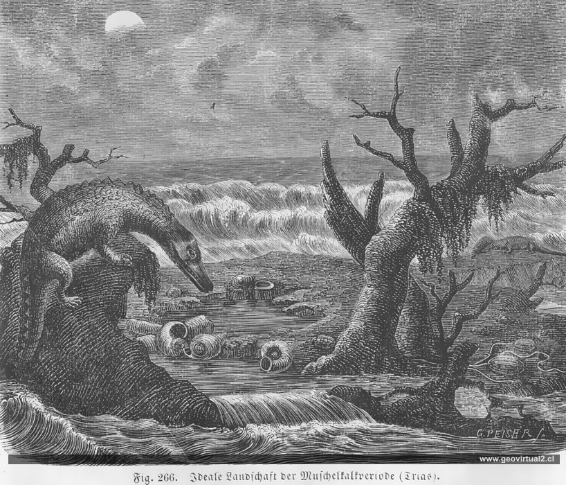 Paisaje del muschelkalk, triasico