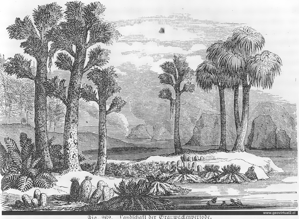 Rudolph Ludwig (1861): Epoca grauvaca