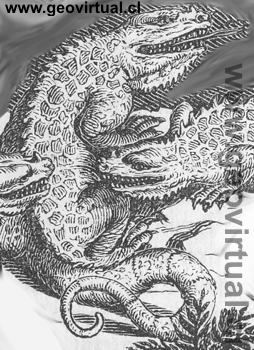 Dibujo del "Iguanodon" de Rudolph Ludwig (1861)