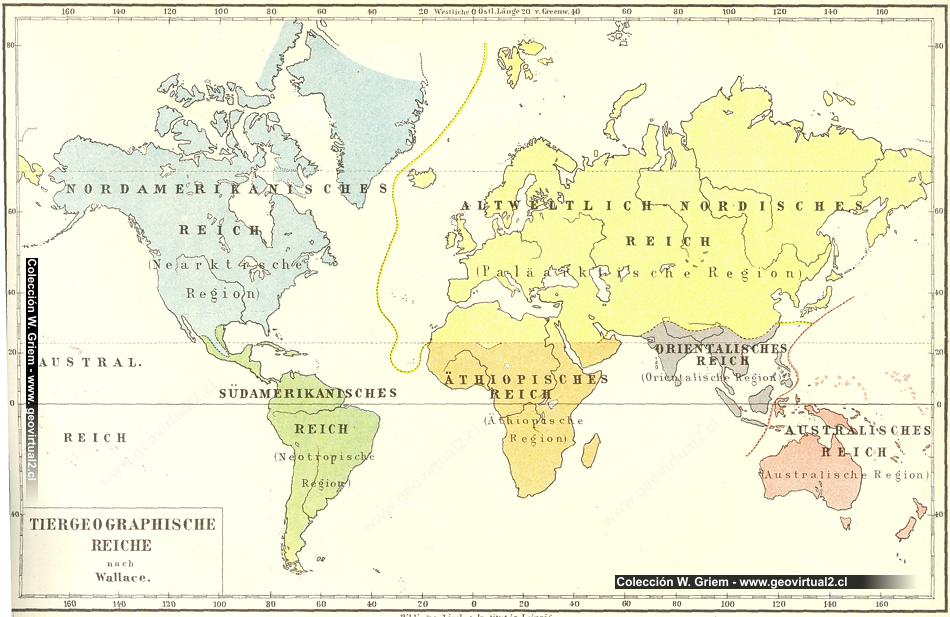 Distribución de los animales en el mundo (Alfred Wallace)