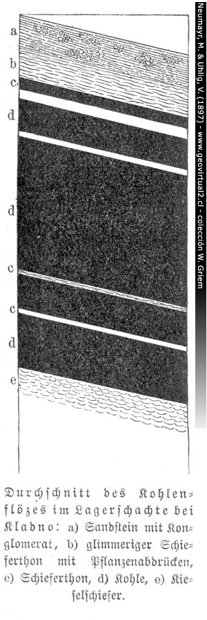 Perfil estratigrafico - cuenca de carbón de Kladno, República Checa (Neumayr & Uhlig, 1897)