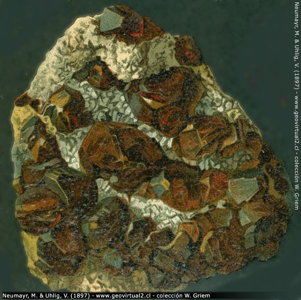 Esfalerita (Neumayr & Uhlig, 1897)