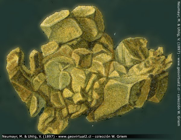 Gediegen Gold (Neumayr & Uhlig, 1897)
