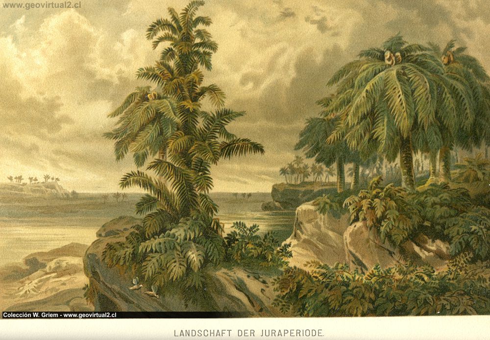 M. Neumayr, V. Uhlig (1897) - Paisaje del jurásico