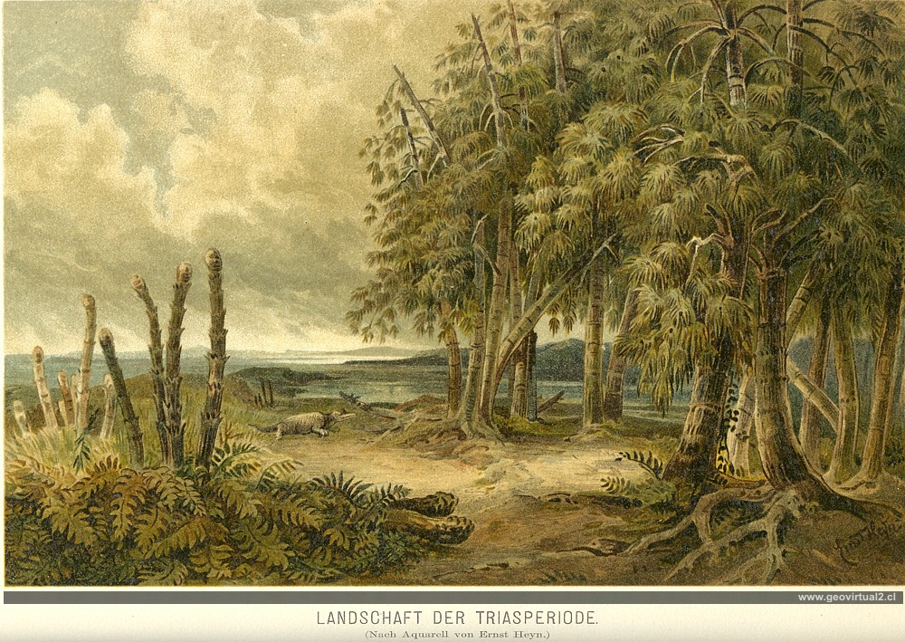 Paisaje de Neumayr, triasico
