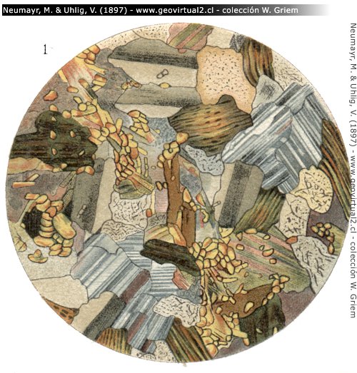 Sección transparente de un granito de Neumayr & Uhlig, 1897