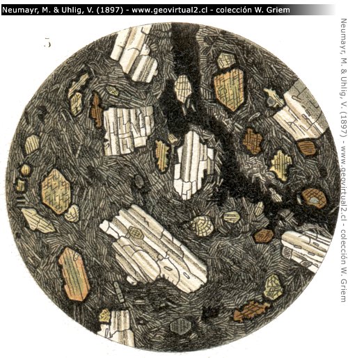 Andesita en sección transparente: Neumayr y Uhlig, 1897