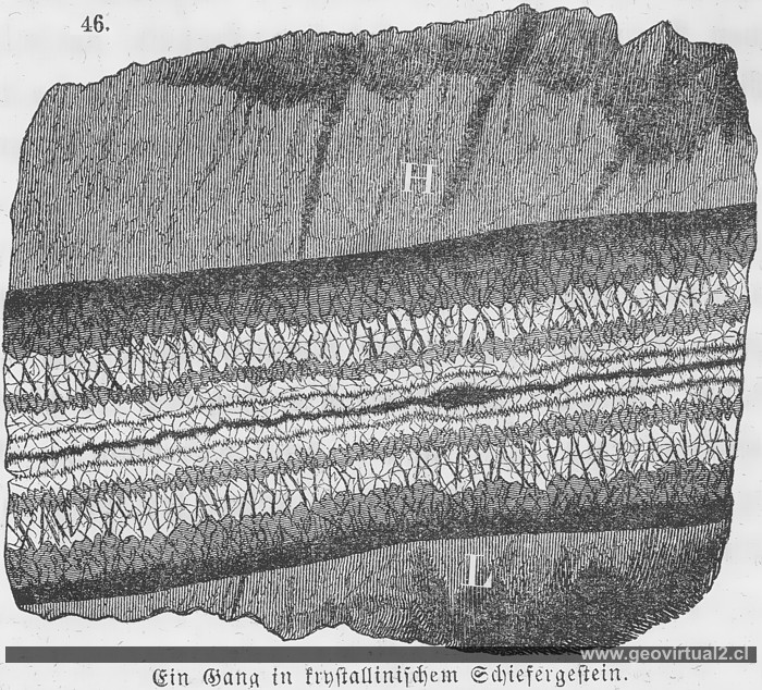 Veta y salbanda de Rossmässler