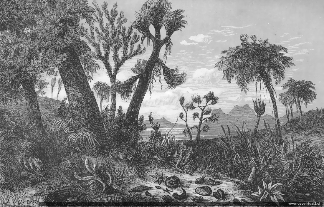 Reconstrucción del carbonífero de Siegmund 1877
