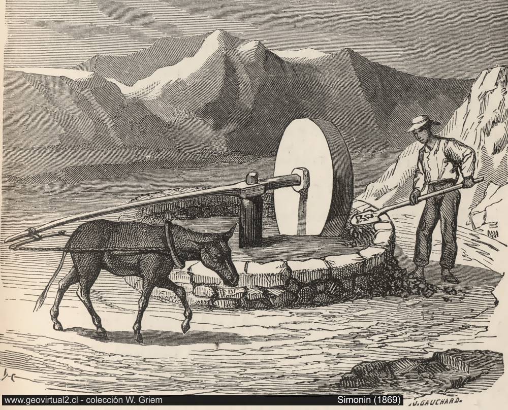 Simonin: Trapiche de Chile