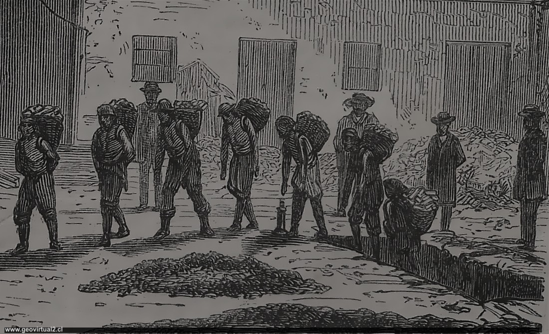 Tornero: mineros saliendo de la mina en Atacama