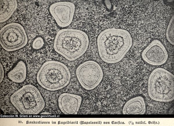 Diorita orbicular