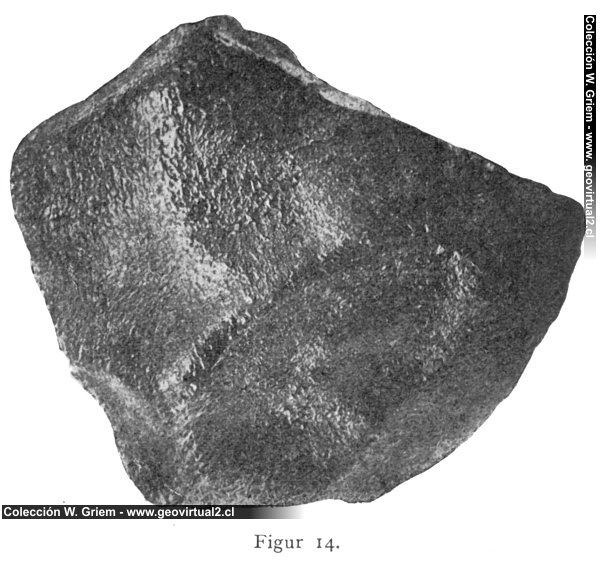 Meteorito de Suess