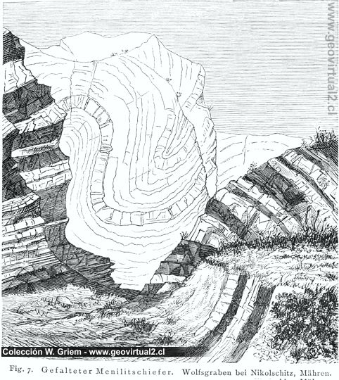 Eduard Suess (1875, 1901): Falten in Schiefern