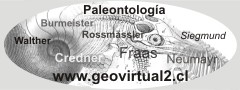 Paleontología
