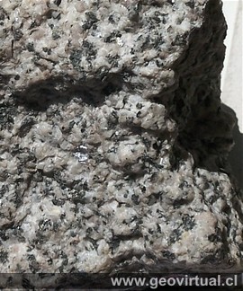 Diorita del Batolito Andino en Atacama