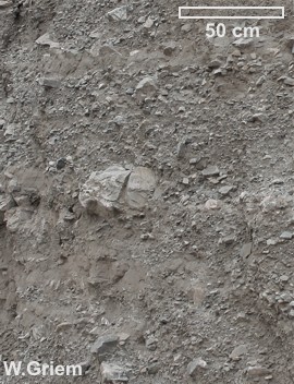 Gravas de Atacama, cerca Copiapó, Chile