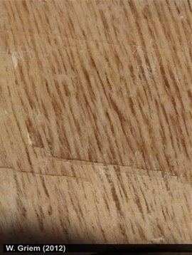 Ortoclasa