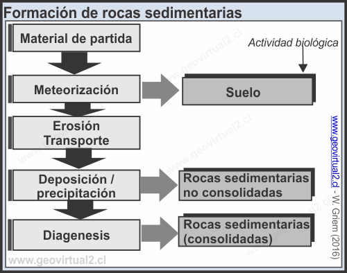 Formación de rocas sedimentarias 