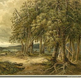 Reconstrucción del Triásico de Neumayr
