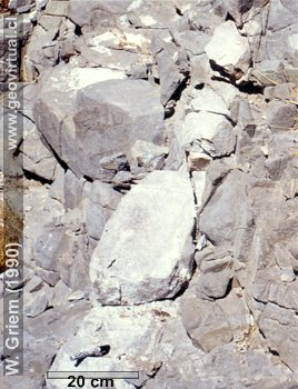 Aplita