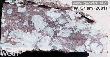 Caliza clastica