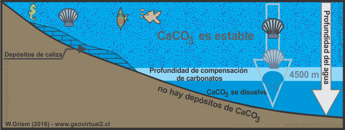 Compensación de Carbonatos