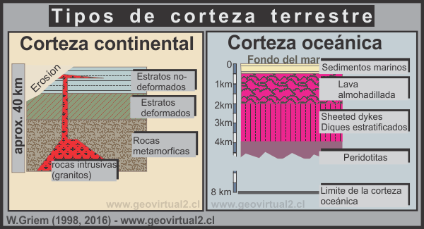 Tipos de Corteza