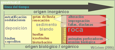 Estructuras sedimentarias: Línea del tiempo entre deposición y roca dura
