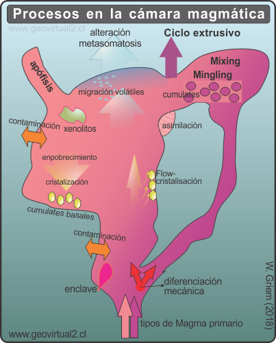 Procesos durante la magma genesis en una cámara magmática