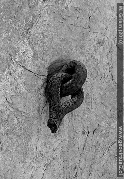 gancho en la mina San Francisco de Chañarcillo (Atacama, Chile)