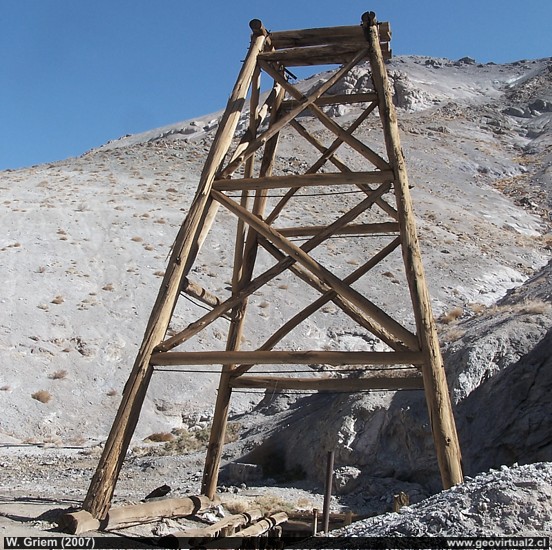 Peinecillo de Agua Amarilla en Cerro Blanco