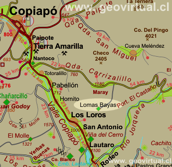 Carta: Ubicación de Lomas Bayas