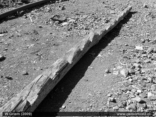 Leiter einer kleinen Kupfergrube in der Atacama Wüste