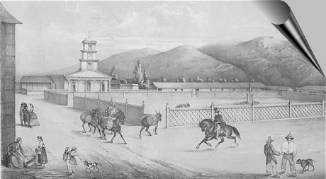 Philippi - Copiapó