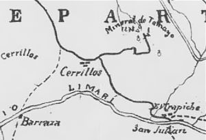300 px carta tamaya