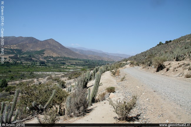Camino entre Limahuida y Salamanca, río Choapa, Chile