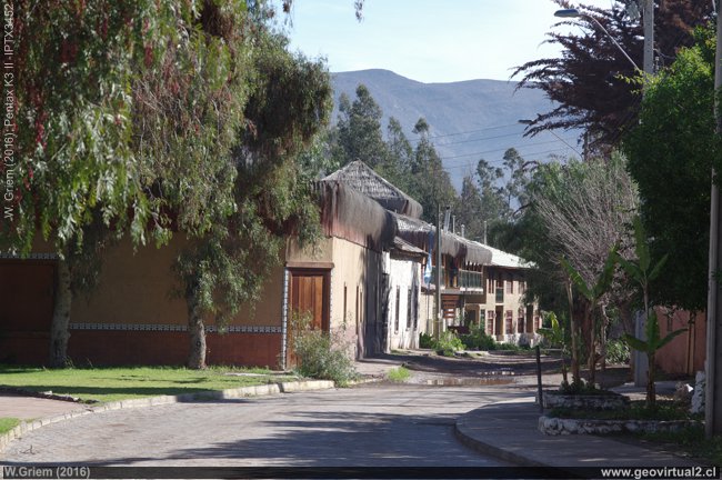Aldea Molle en el valle del río Elqui, Región de Coquimbo, Chile