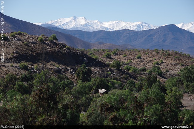 Paisaje de los Andes desde Panulcillo, Chile